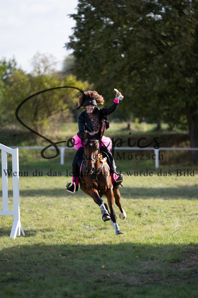 A7V06601 | Pferdefotograf