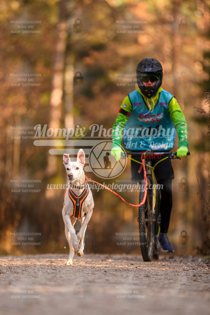 MompixPhotography_DM_AKDM_SO_2025_Scooter-229 | PayLife