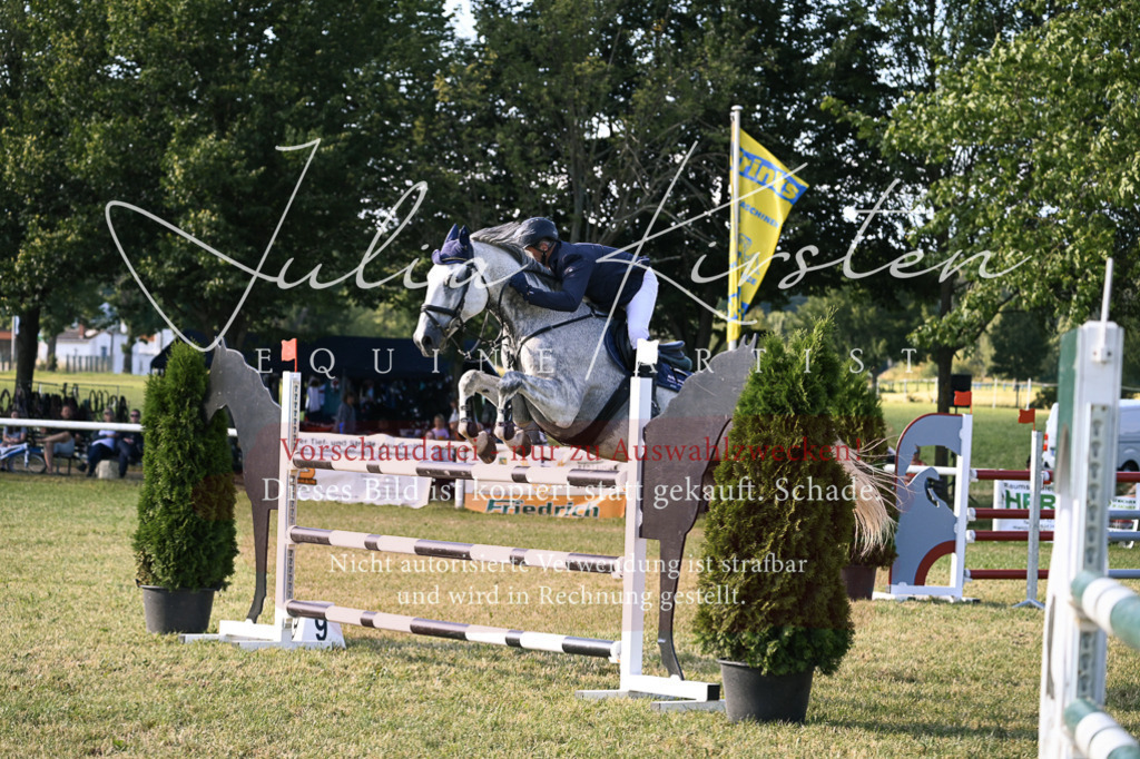 DSC_1728 | Pferde- und Turnierfotografie in Westsachsen. Pferdeportraits, Auftragszeichnungen und intuitive Kunst.