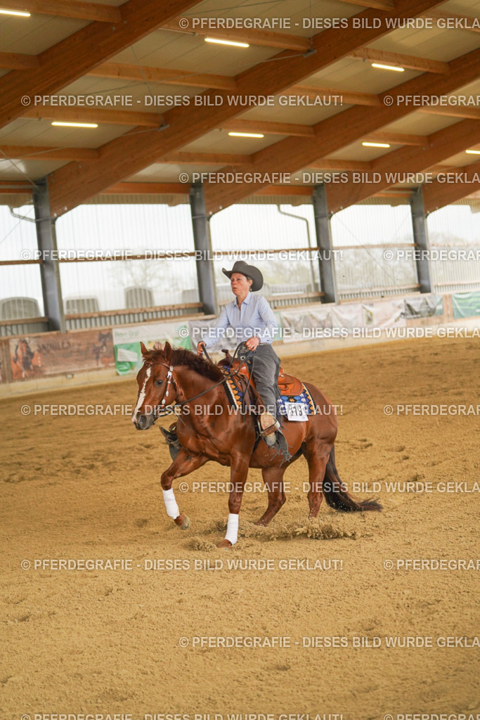 DSC00041 | Pferdegrafie