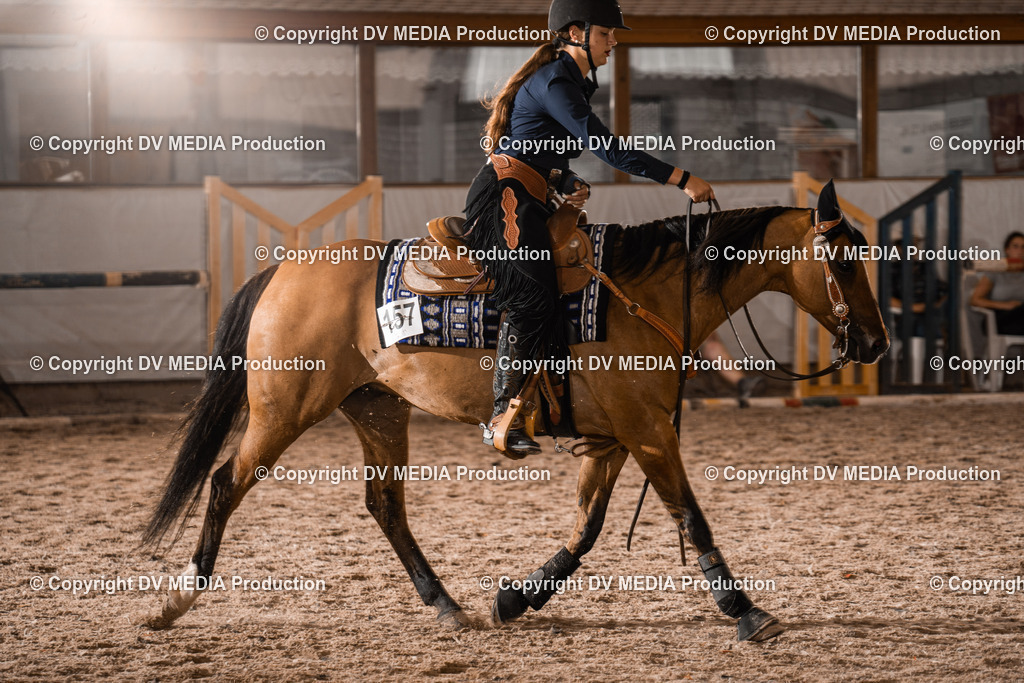 ZH300601 | dv-media-shop - Realisiert mit Pictrs.com