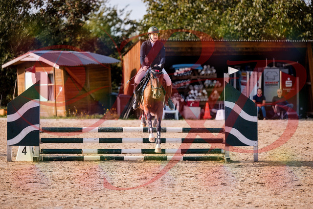2026_10_03_Siefer-Hof_155341_Z81_73321398 | Professionelle Reitsport-, Turnier- und Eventfotografie von Robert Broda. Galerien mit ausgewählten und bearbeiteten Bildern direkt online ansehen und bestellen.