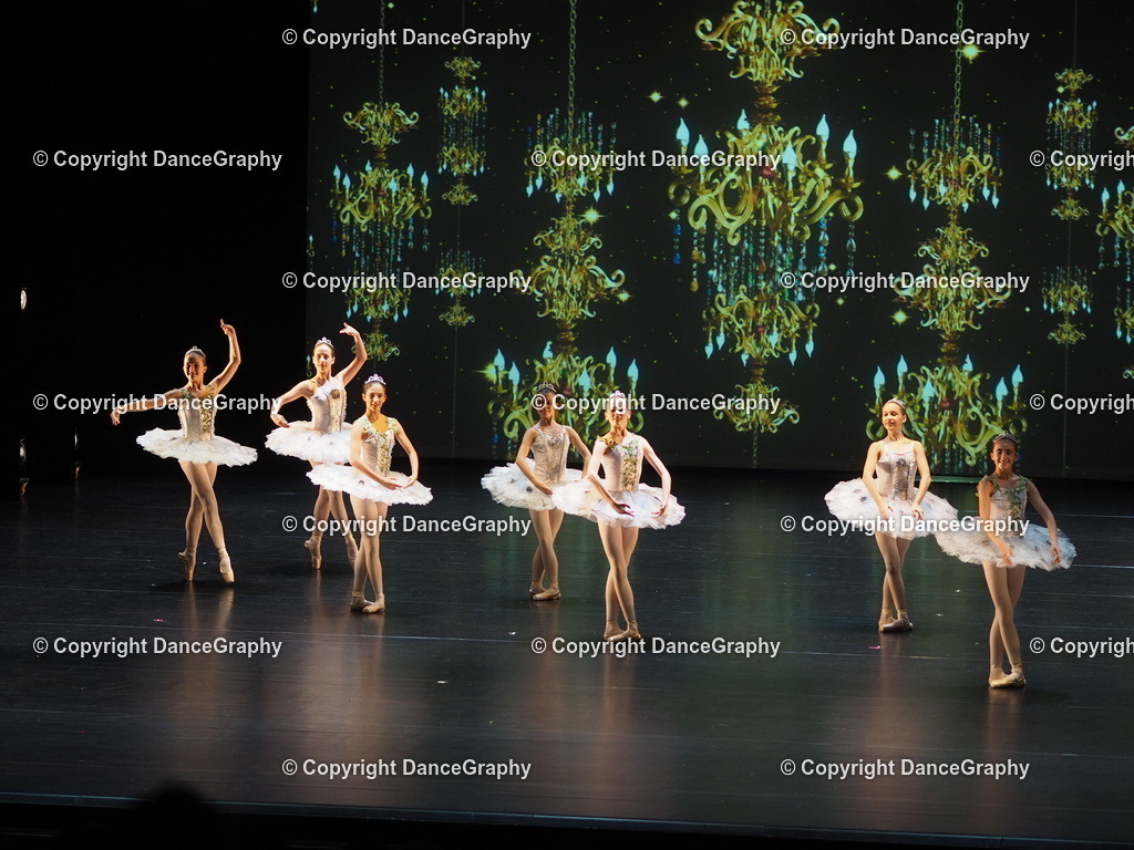 P7260436 | DanceGraphy - Realisiert mit Pictrs.com