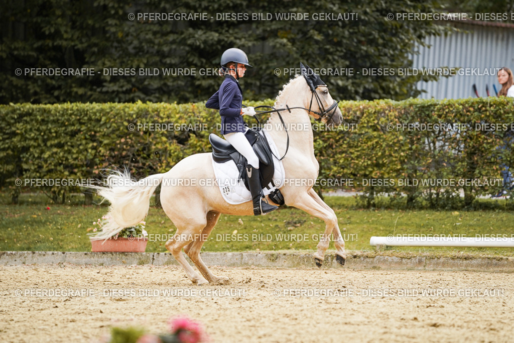 DSC00593 | Pferdegrafie