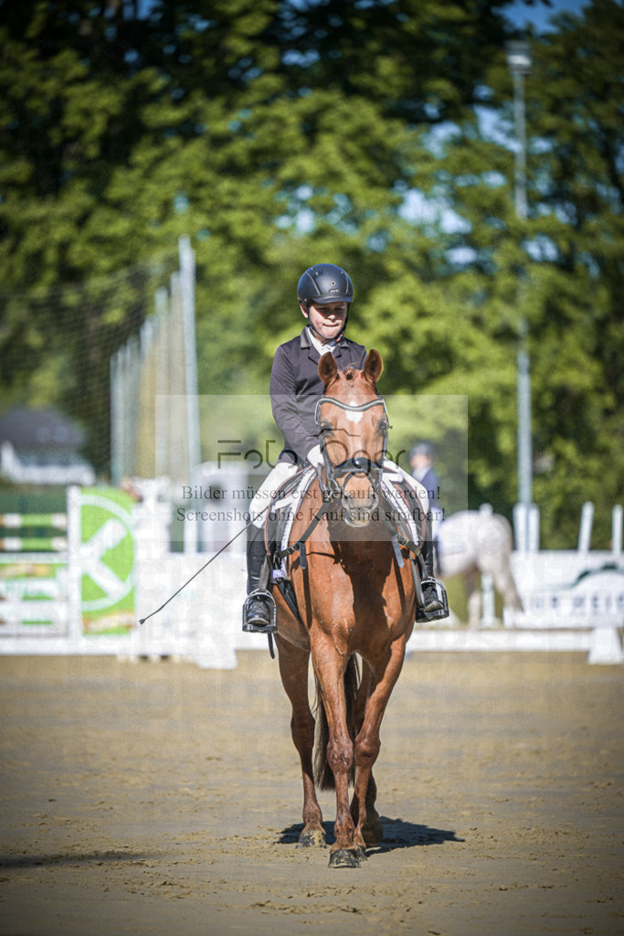 DOS_3511 | Entdecke hochwertige Reitturnierfotos von Foto Oger. Professionell, emotional und authentisch – jetzt Lieblingsmomente im Shop bestellen.Deutschlandweite Turnierfotografie. - Realisiert mit Pictrs.com