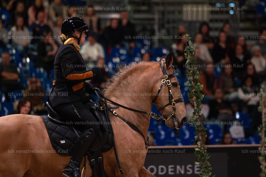 JoseraCup-130 | working equitationturnier fotograf videograf stoibphotography marixx film working equitation deutschland reitsport turnierfotografie eventfotografie equestrian events