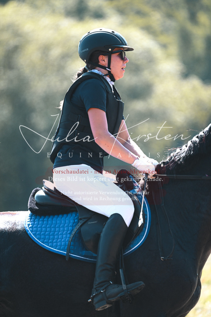 DSC_8121 | Pferde- und Turnierfotografie in Westsachsen. Pferdeportraits, Auftragszeichnungen und intuitive Kunst.