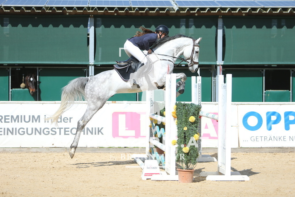 DL2Q0390 | Willkommen bei Brunnmayr - Design & Fotografie – Ihrem Spezialisten für Reitturniere und Pferdeveranstaltungen in Oberösterreich, Salzburg und Bayern! Seit über 17 Jahren sind wir leidenschaftlich dabei.