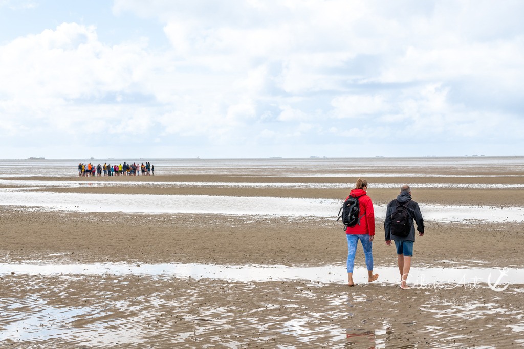 EAF_8716 | Eilun-Art-Fotografie Levke Martens, ihre Fotografin für Immobilien- und Landschaftsfotografie auf Föhr, Föhrer Motive als Poster, Leinwand, hinter Acrylglas oder stelle dir deinen eigenen Monatskalender zusammen, mit nur einem Klick