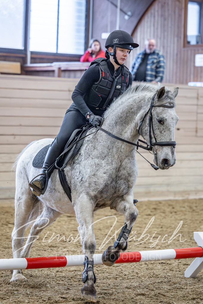 20260221-_3LI9544 | Tierfotografie Pferde, Hunde, Katzen, Haustiere.
Turnierfotografie Reitturniere, Reiten, Springreiten, Dressur in Hanau, dem Main-Kinzig-Kreis und dem Rhein-Main- Gebiet um Frankfurt