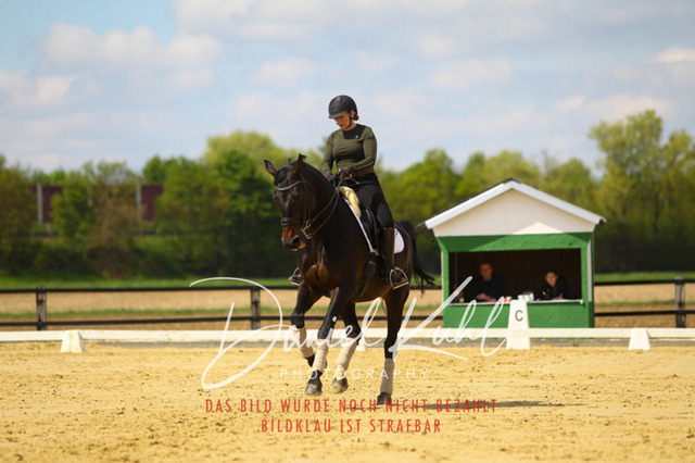 DKP43115 | Turniersportfotografie; Pferdefotografie; Dressurfotografie