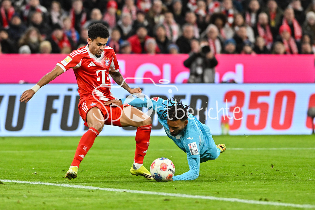 FC Bayern München - TSG 1899 Hoffenheim | MUNICH, GERMANY - 08. FEBRUARY: strittige Szene - Luis DIAZ (FC Bayern Munich 14) im Duell mit Kevin AKPOGUMA (TSG Hoffenheim 25) Elfmeter / rote Karte / Zweikampf während dem Bundesligamatch zwischen dem FC Bayern München und der TSG 1899 Hoffenheim am 21. Spieltag in der Allianz Arena / DFL REGULATIONS PROHIBIT ANY USE OF PHOTOGRAPHS AS IMAGE SEQUENCES AND/OR QUASI-VIDEO