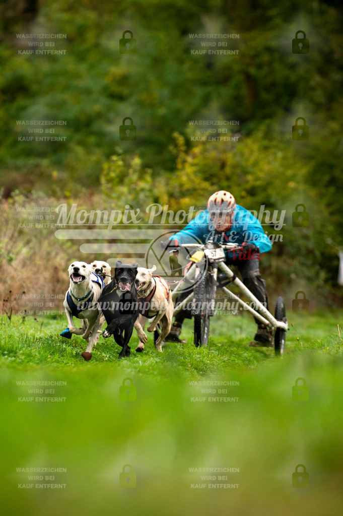 TSB_2023_E6_Kart-2 | PayLife