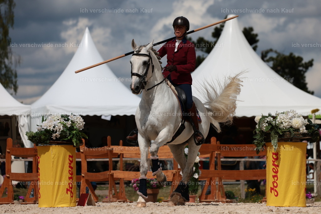 PI26_ST_StoibphotographyC2_L8365.JPG | working equitationturnier fotograf videograf stoibphotography marixx film working equitation deutschland reitsport turnierfotografie eventfotografie equestrian events
