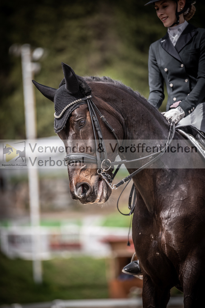 DSC_2241 | equestrian-live-com