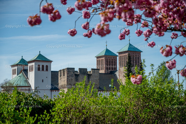 Sankt_Georg_Bensheim_DSC_0187 | bbe, bensheimer Türme, im Vordergrund der blaue Turm und im Hintergrund die Türme der Stadtkirche Sankt Georg, im Vordergrund eine japanische Zierkirche, ,, Bild: Thomas Neu