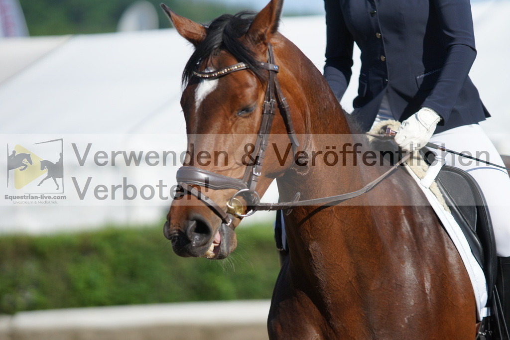 DSC04065 | equestrian-live-com