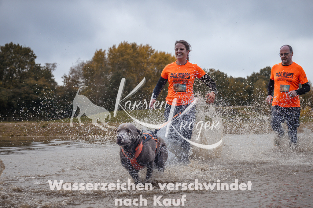 1327_ZZ94141 | kk-dogfotos