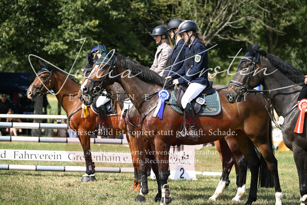 DSC_0714 | Pferde- und Turnierfotografie in Westsachsen. Pferdeportraits, Auftragszeichnungen und intuitive Kunst.