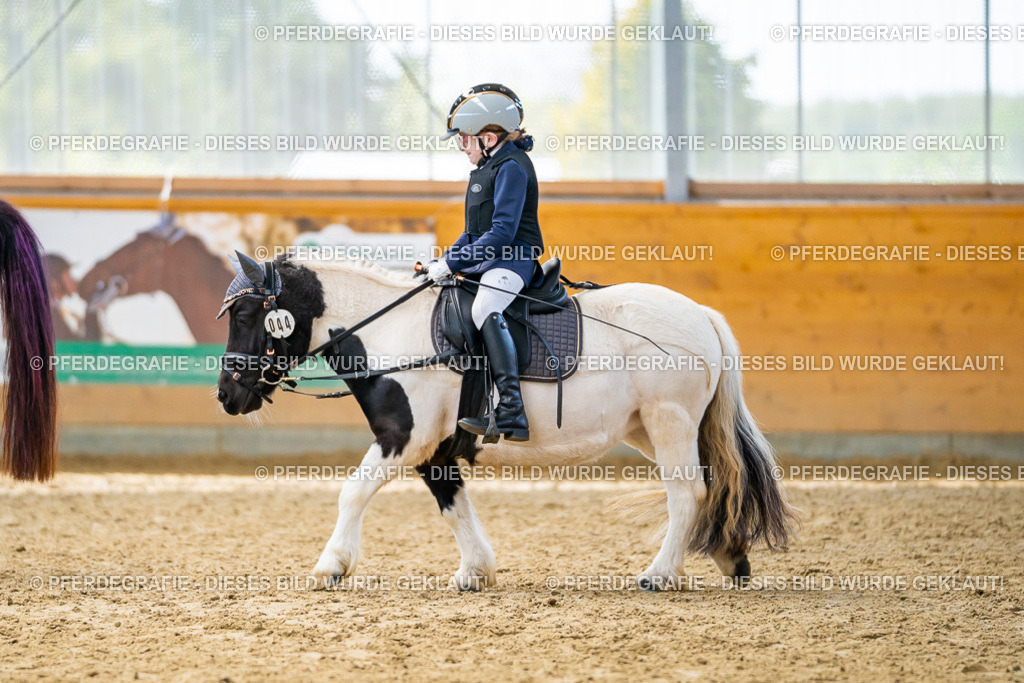 DSC01355 | Pferdegrafie