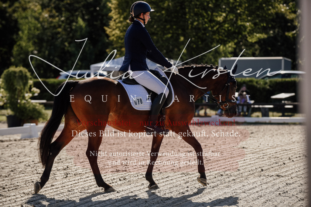 DSC_0272 | Pferde- und Turnierfotografie in Westsachsen. Pferdeportraits, Auftragszeichnungen und intuitive Kunst.