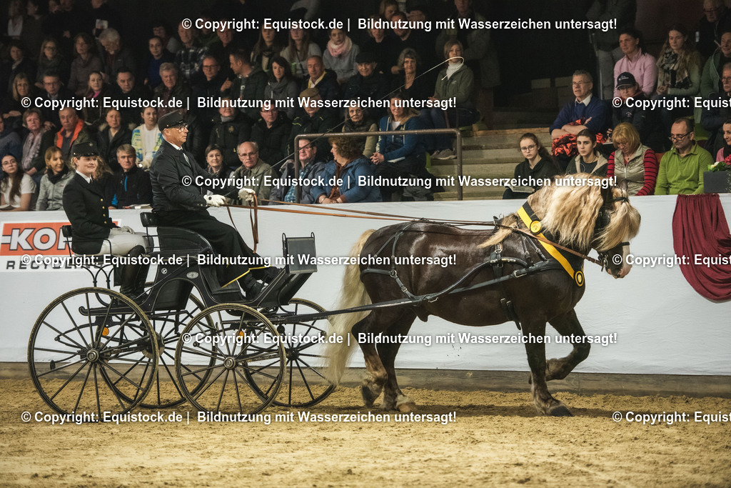 20240302_Hengstvorstellung_Marbach_TOMsPiC_0638 | equistock