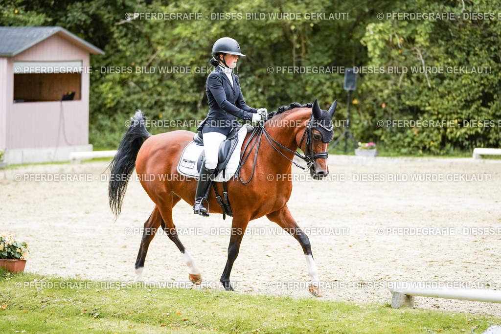 DSC01684 | Pferdegrafie