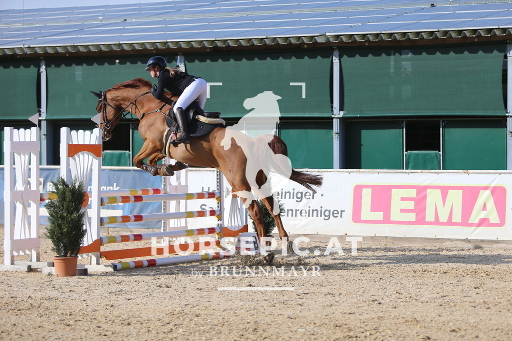 DL2Q4210 | Willkommen bei Brunnmayr - Design & Fotografie – Ihrem Spezialisten für Reitturniere und Pferdeveranstaltungen in Oberösterreich, Salzburg und Bayern! Seit über 17 Jahren sind wir leidenschaftlich dabei.