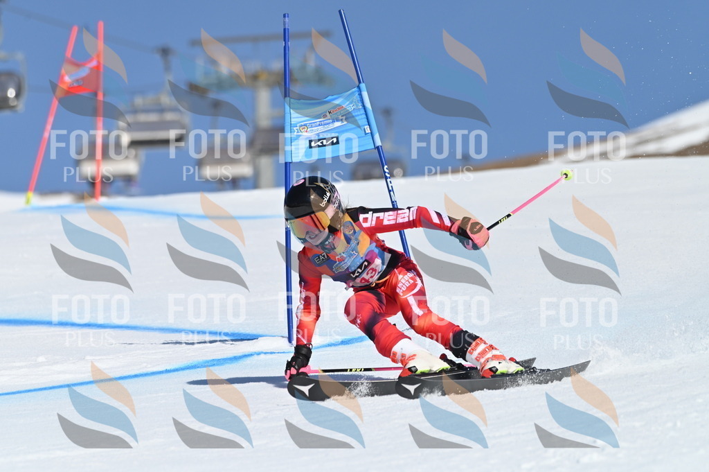 BGV_8414 | holidayphoto