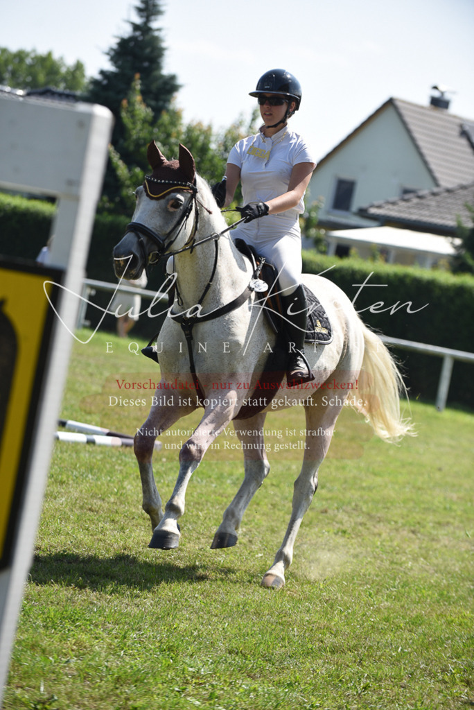 DSC_0176 | Pferde- und Turnierfotografie in Westsachsen. Pferdeportraits, Auftragszeichnungen und intuitive Kunst.