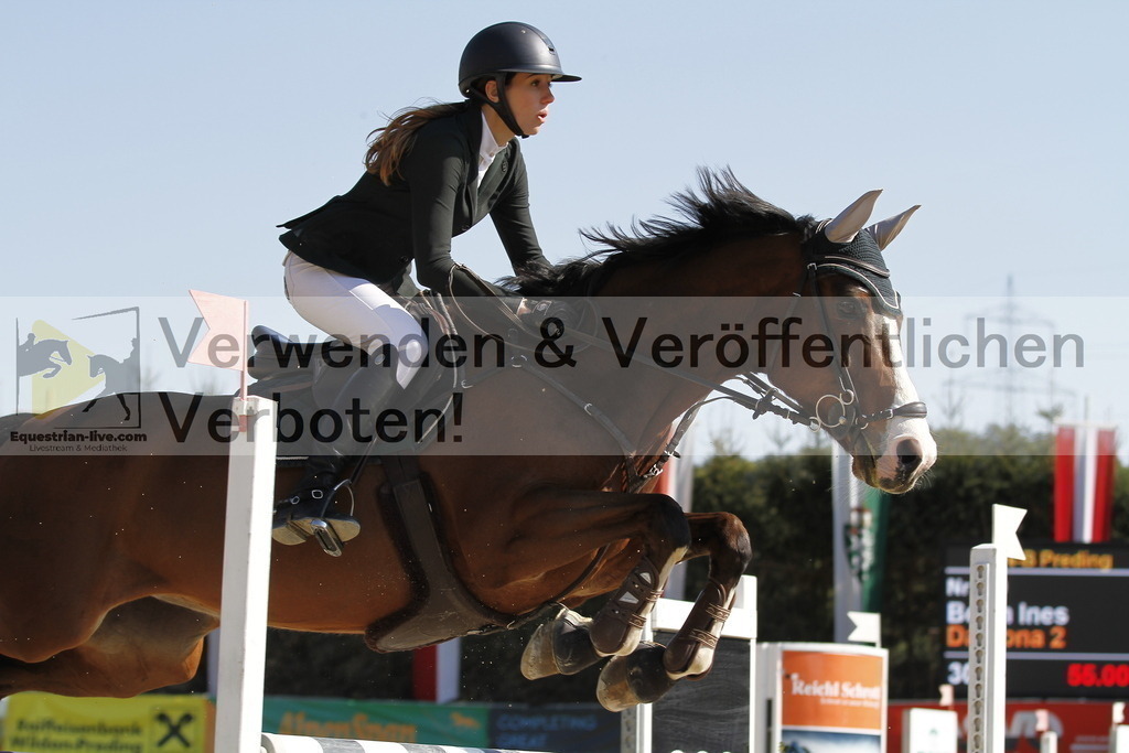 _MG_6739 | equestrian-live-com