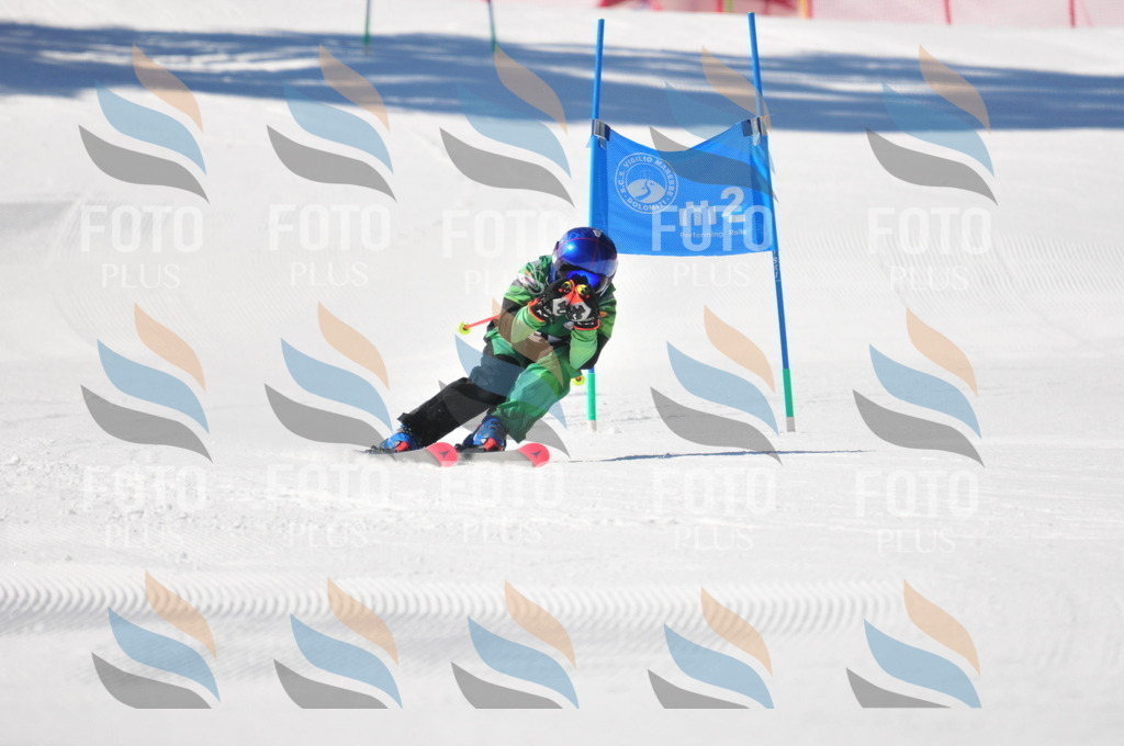 C3727 | holidayphoto