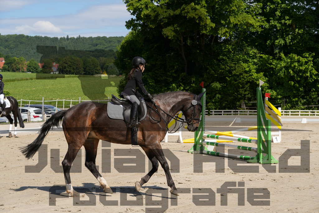 DSC03222 | Julian Held Fotografie - Realisiert mit Pictrs.com