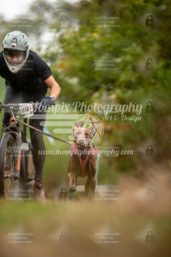 TSB_2023_E5_Bike-30 | PayLife