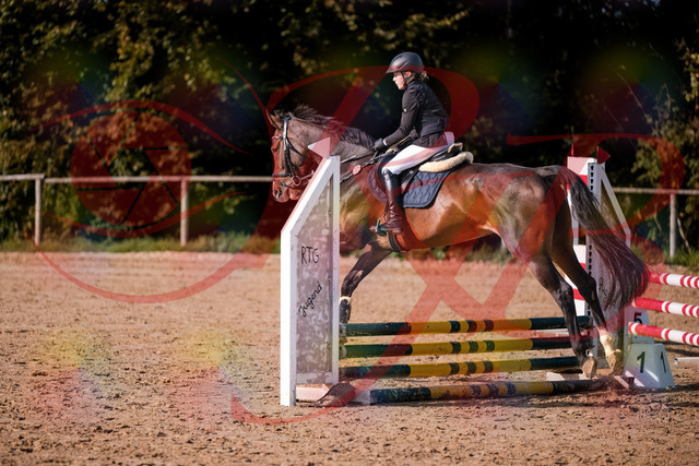 2026_10_03_Siefer-Hof_155916_Z81_79151981 | Professionelle Reitsport-, Turnier- und Eventfotografie von Robert Broda. Galerien mit ausgewählten und bearbeiteten Bildern direkt online ansehen und bestellen.