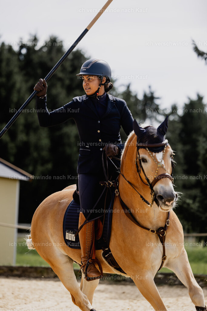 Tanesha5FHC2025-20110 | working equitationturnier fotograf videograf stoibphotography marixx film working equitation deutschland reitsport turnierfotografie eventfotografie equestrian events