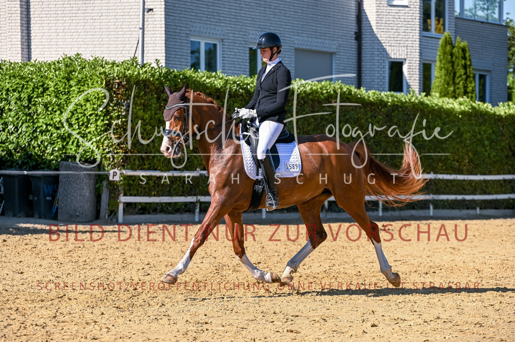 Schugtsche-Aluta25-50.Dressurpferdeprf.L-279 | Schugtsche Fotografie - Realisiert mit Pictrs.com