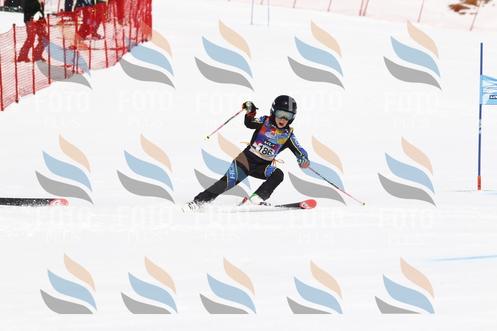 _U3G4884 | holidayphoto