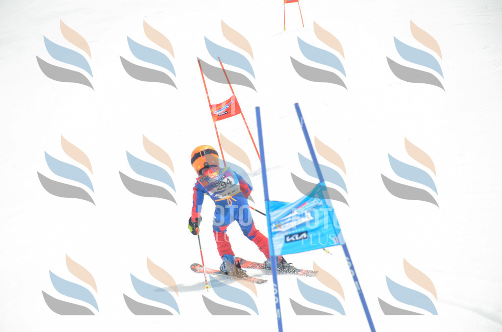 _ELE8157 | holidayphoto