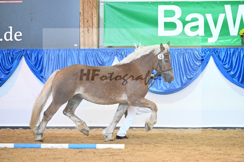 Kat-Nr. 13 Hexe_ZG Meyer zu Huecker_53221005 | hf-fotografie - Realisiert mit Pictrs.com