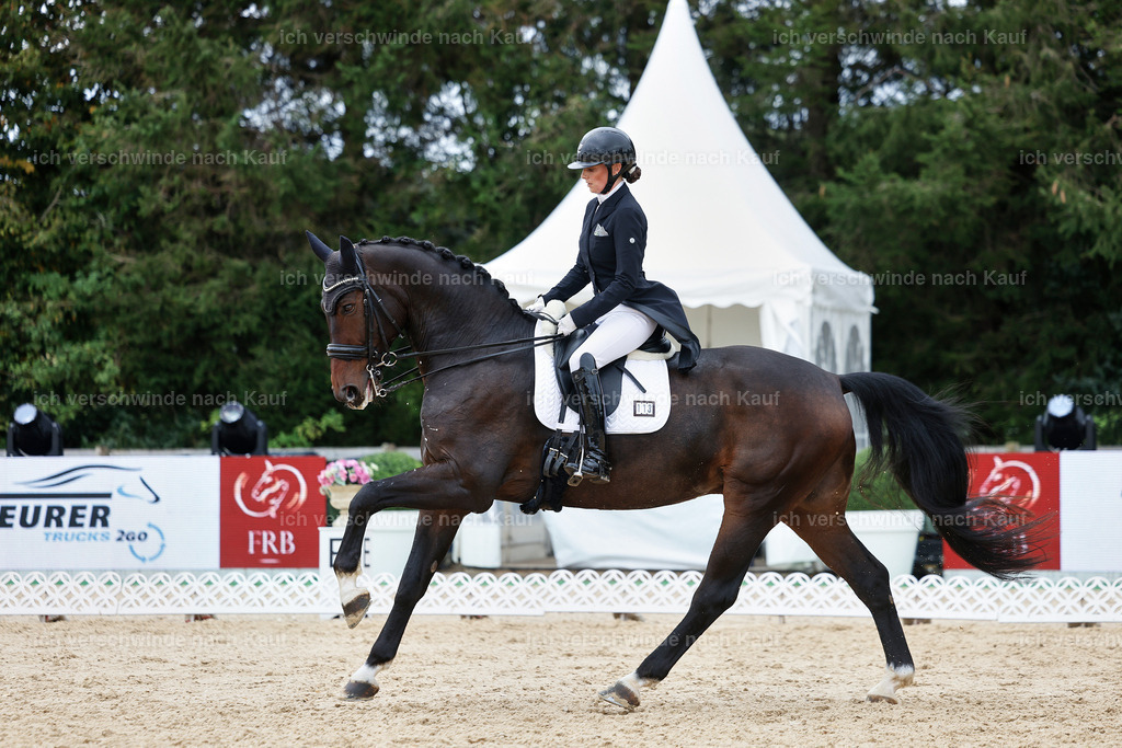 6-113-AMATUER-DRESSUR S_  -StoibPH-3624 | working equitationturnier fotograf videograf stoibphotography marixx film working equitation deutschland reitsport turnierfotografie eventfotografie equestrian events