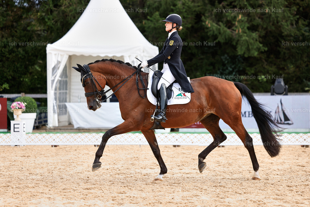 11-003-Dressur S___-StoibPH-1060 | working equitationturnier fotograf videograf stoibphotography marixx film working equitation deutschland reitsport turnierfotografie eventfotografie equestrian events