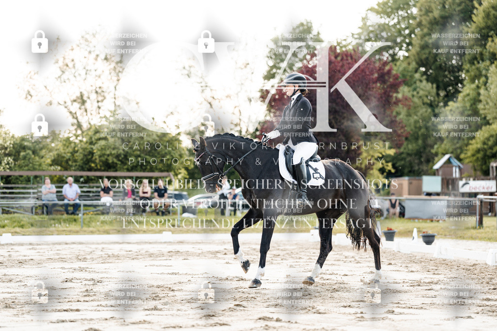 CK909434 | Turnierfotografie Pferdefotografie Trier Rheinland-Pfalz Pferdesport Reitsport Tierfotografie Sportfotografie Pferdevideo Pferdevideografie Equestrianvideography equestrianphotography  - Realisiert mit Pictrs.com