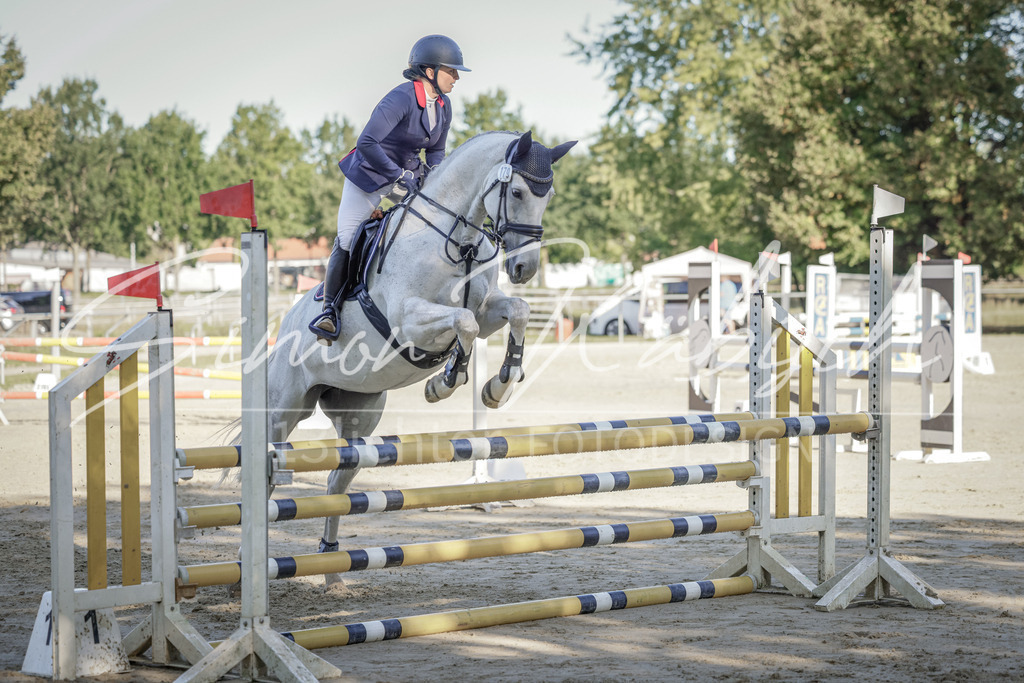 20250906-_3LI3108 | Tierfotografie Pferde, Hunde, Katzen, Haustiere.
Turnierfotografie Reitturniere, Reiten, Springreiten, Dressur in Hanau, dem Main-Kinzig-Kreis und dem Rhein-Main- Gebiet um Frankfurt