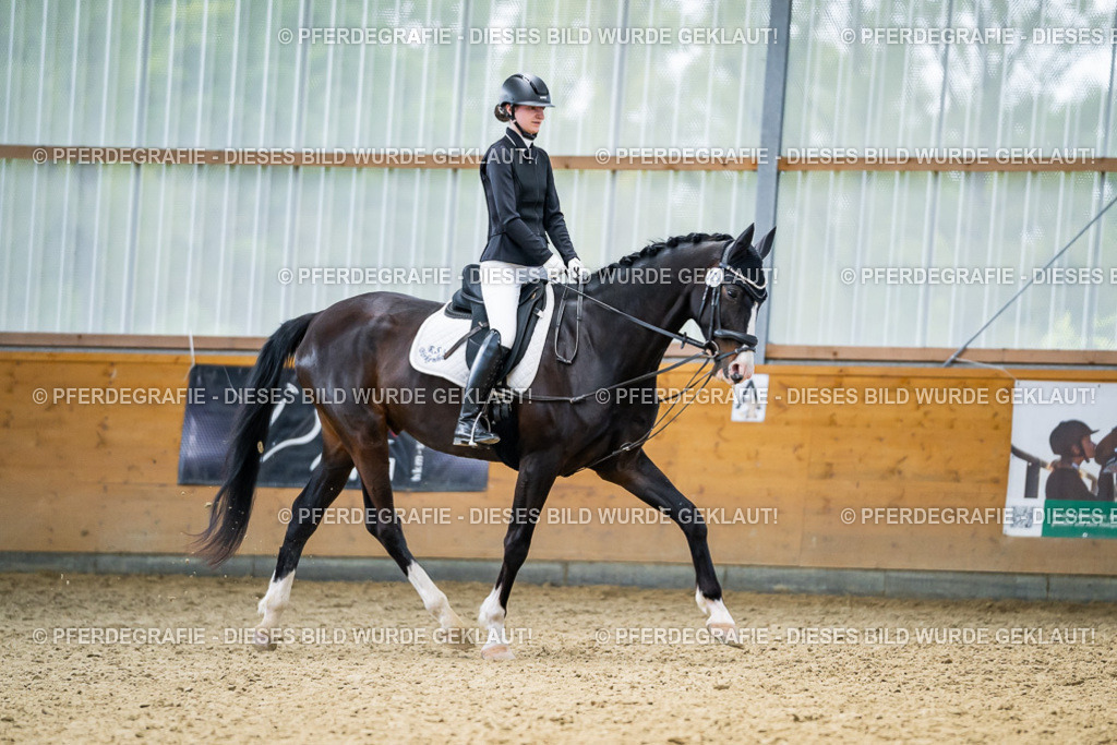 DSC04089 | Pferdegrafie