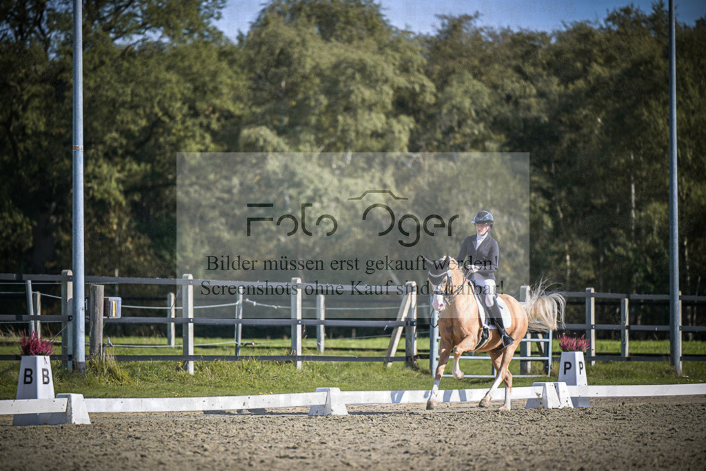 DOS_2196 | Entdecke hochwertige Reitturnierfotos von Foto Oger. Professionell, emotional und authentisch – jetzt Lieblingsmomente im Shop bestellen.Deutschlandweite Turnierfotografie. - Realisiert mit Pictrs.com