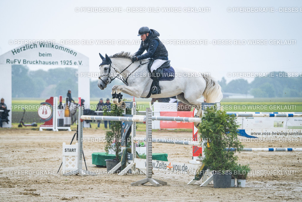 DSC00031 | Pferdegrafie