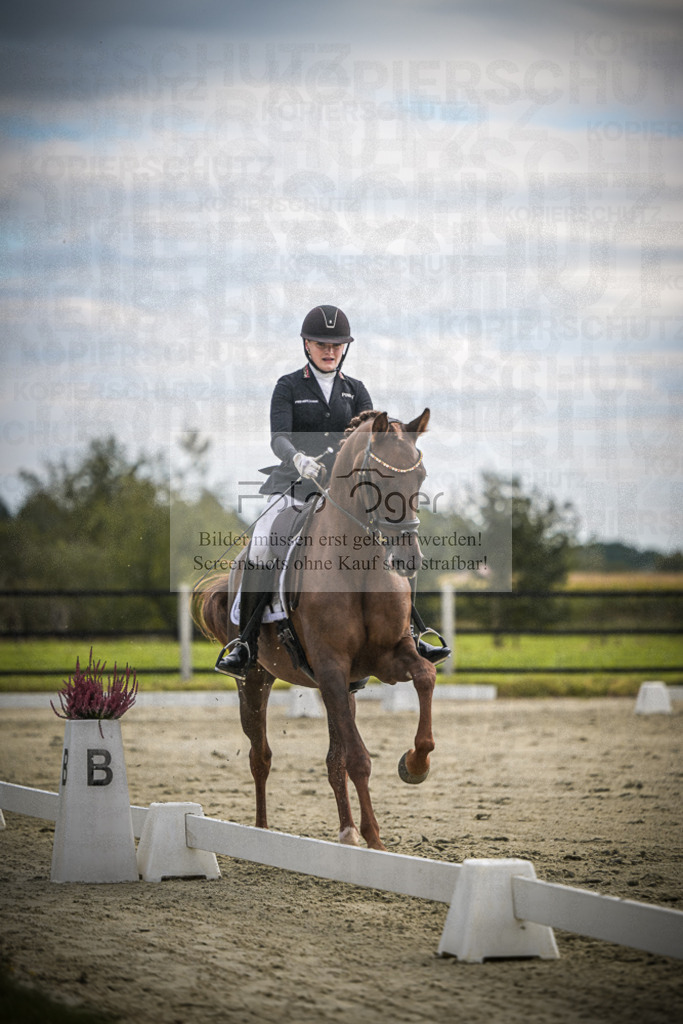 DOS_1853 | Entdecke hochwertige Reitturnierfotos von Foto Oger. Professionell, emotional und authentisch – jetzt Lieblingsmomente im Shop bestellen.Deutschlandweite Turnierfotografie. - Realisiert mit Pictrs.com