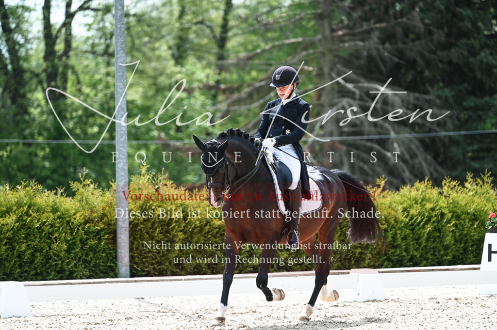 20230514_JK-Röhrsdorf-19-205 | Pferde- und Turnierfotografie in Westsachsen. Pferdeportraits, Auftragszeichnungen und intuitive Kunst.