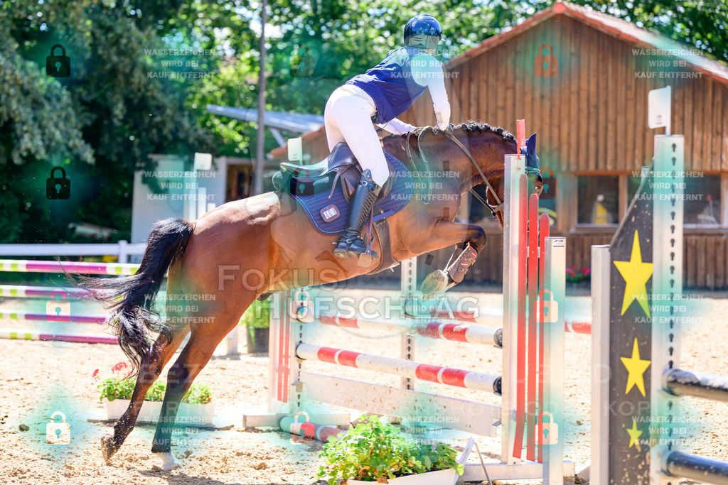 29082026-Giesenbach-Prfg10-0863 | Fokus Hufschlag Fotografie - Realisiert mit Pictrs.com